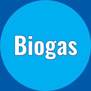 Biogas Leak Detection